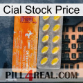 Cial Stock Price new05